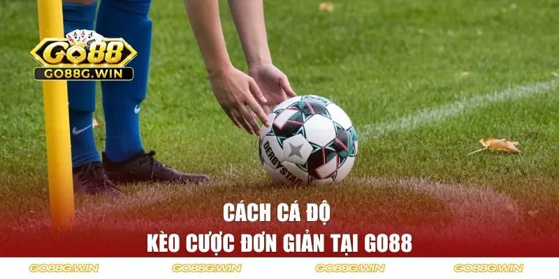Cách cá độ kèo cược đơn giản tại Go88